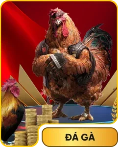 đá gà 33WIN